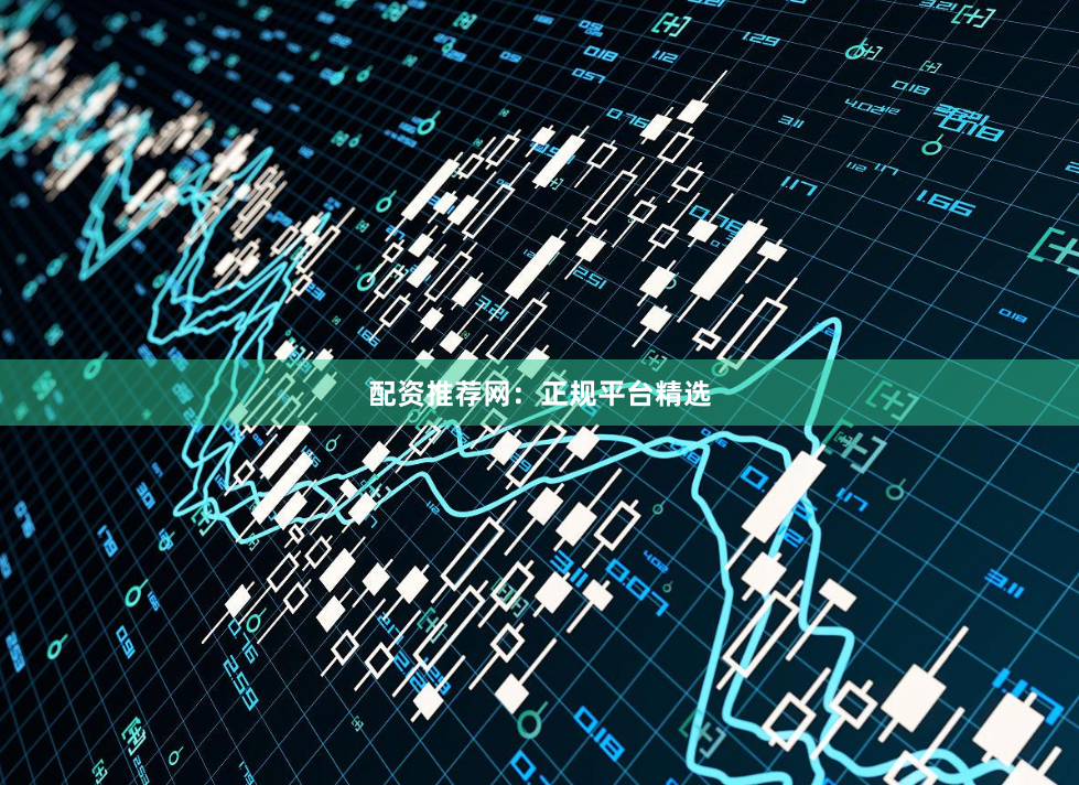 配资推荐网：正规平台精选