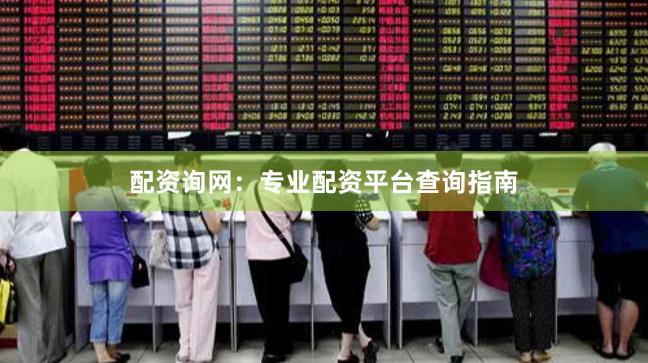 配资询网：专业配资平台查询指南